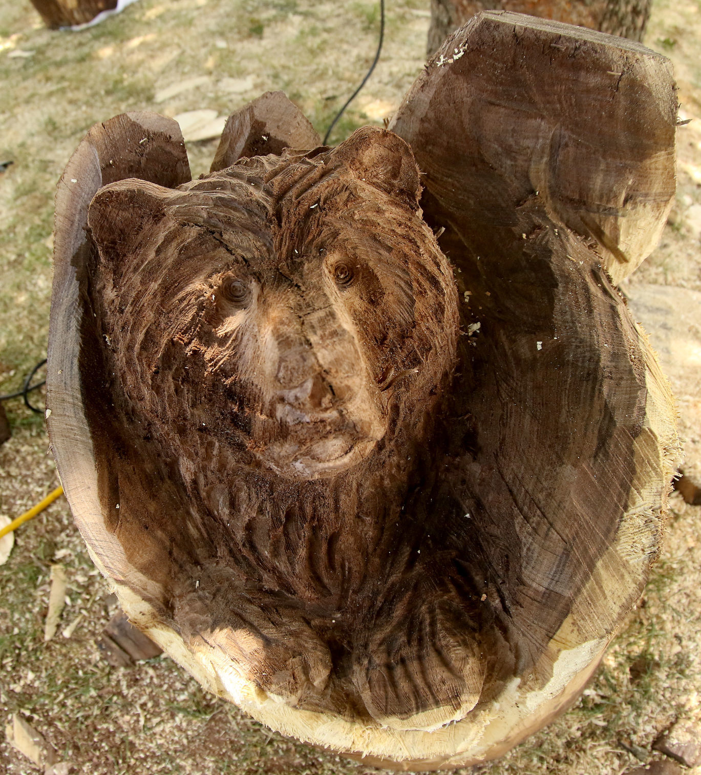 Bear carving